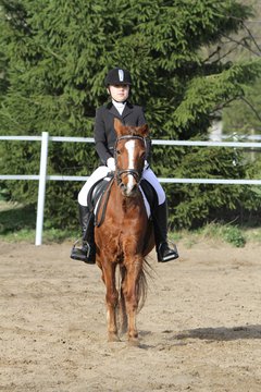 Bild 1254 - WBO-Turnier am 9.4.11